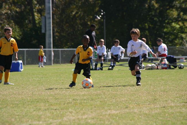 Click to see next picture