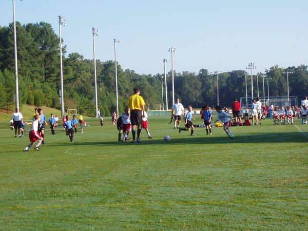 Click to see next picture