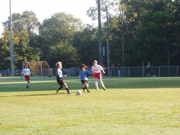 Click to see next picture