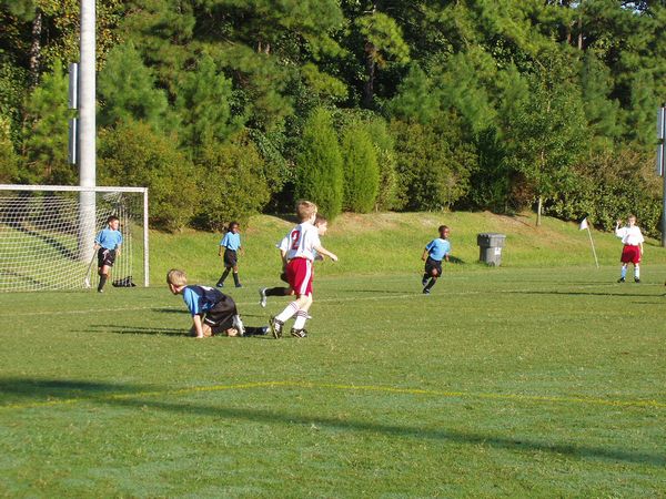 Click to see next picture