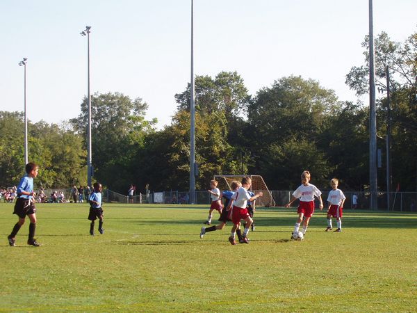 Click to see next picture