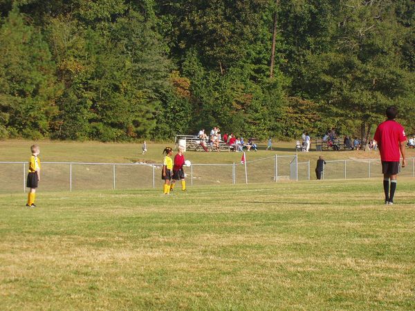 Click to see next picture