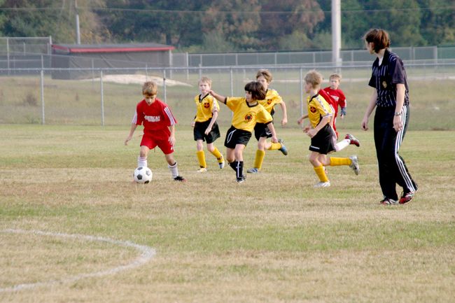 Click to see next picture