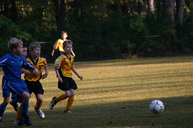 Click to see next picture