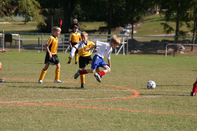 Click to see next picture