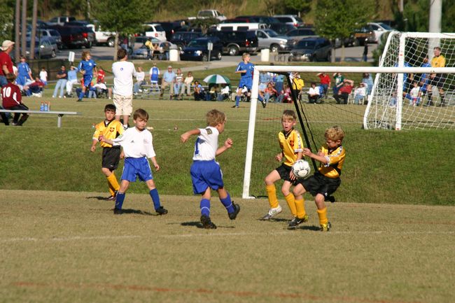 Click to see next picture