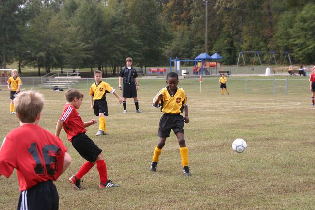 Click to see next picture