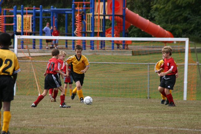 Click to see next picture