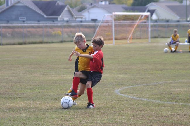 Click to see next picture