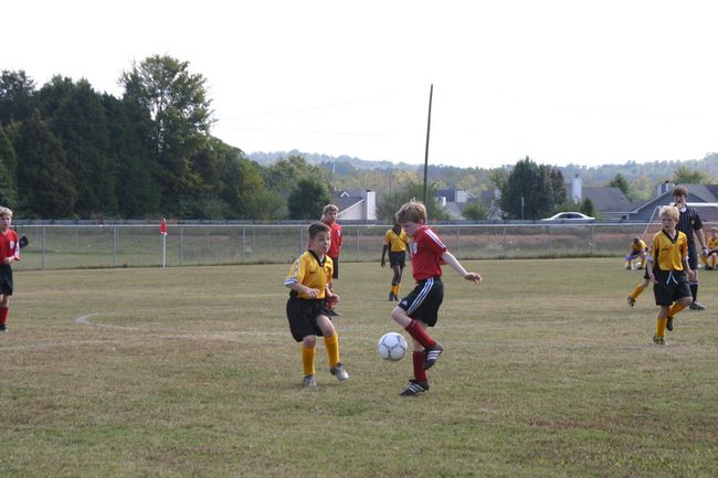 Click to see next picture