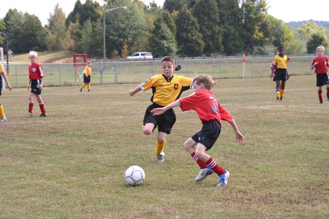 Click to see next picture