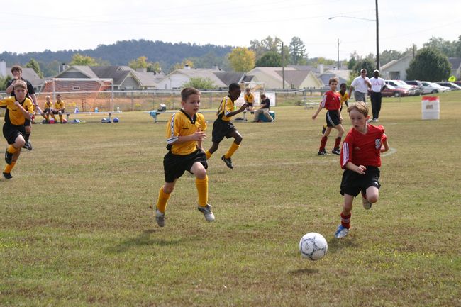 Click to see next picture