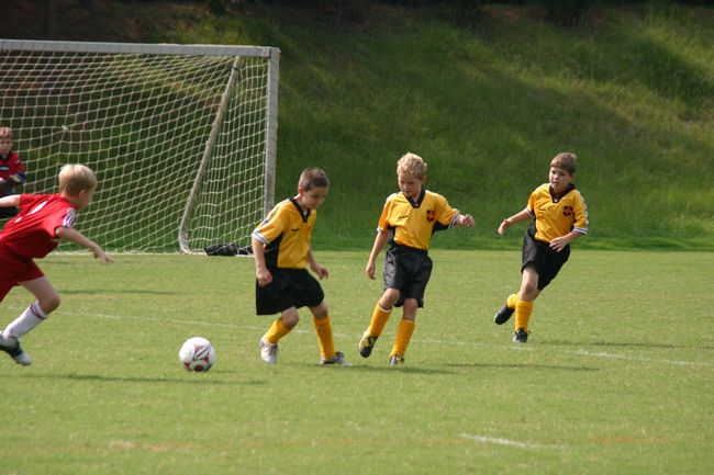 Click to see next picture