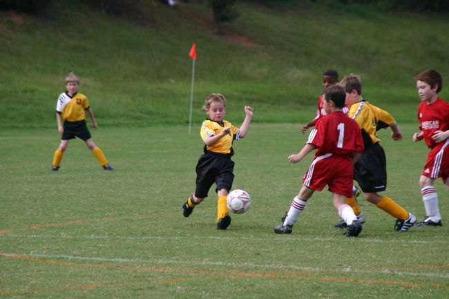 Click to see next picture