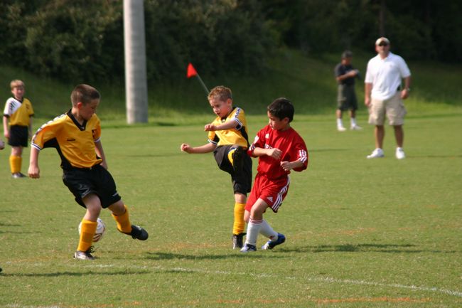 Click to see next picture