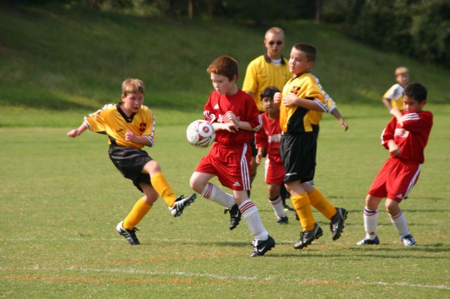 Click to see next picture