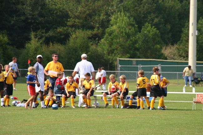 Click to see next picture