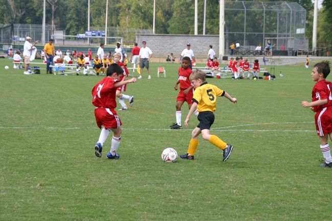 Click to see next picture