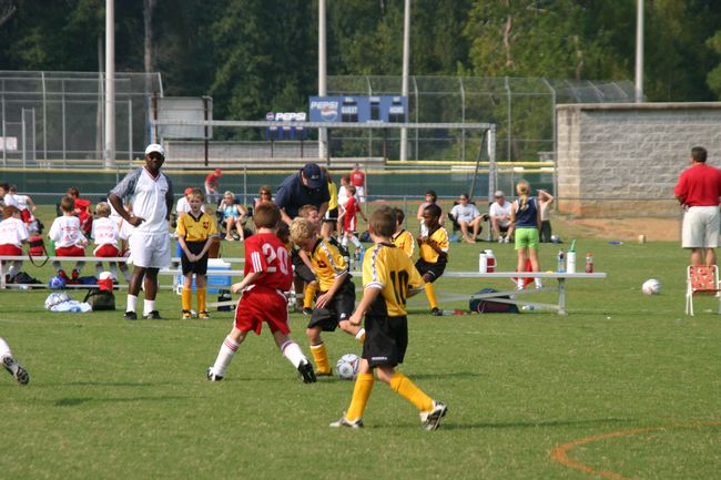 Click to see next picture