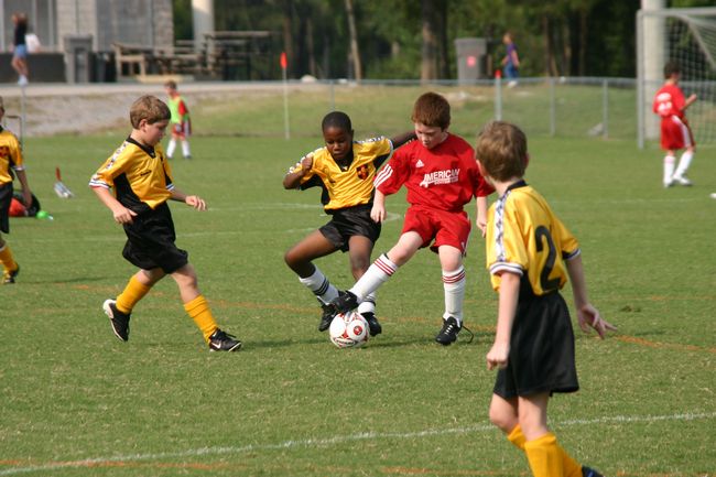 Click to see next picture