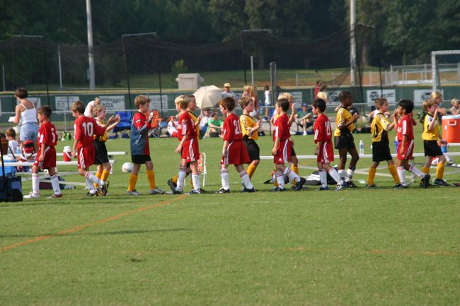 Click to see next picture