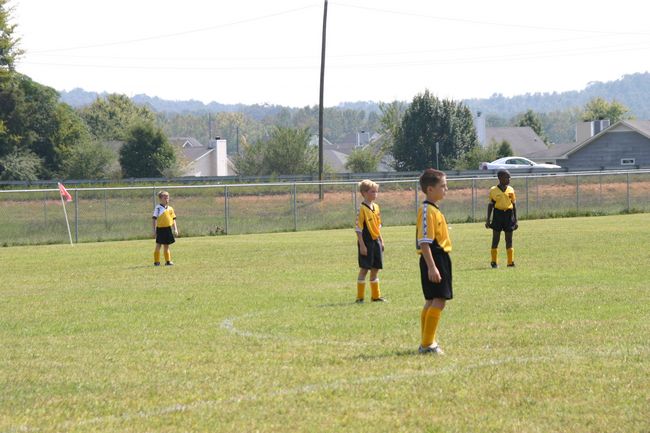 Click to see next picture