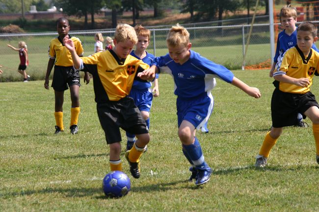 Click to see next picture