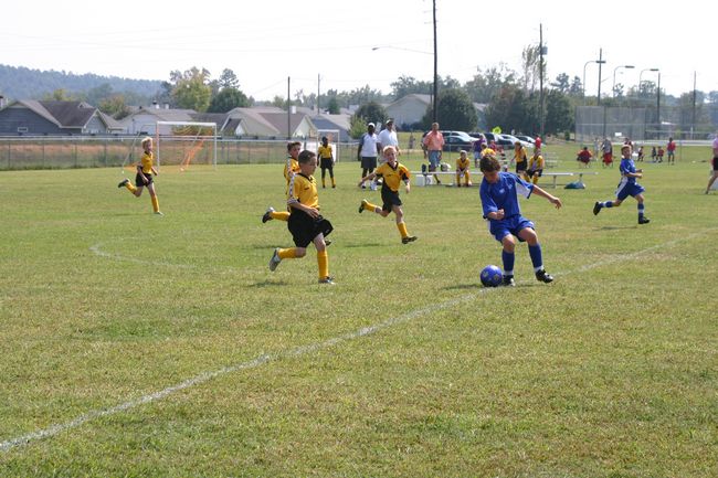 Click to see next picture