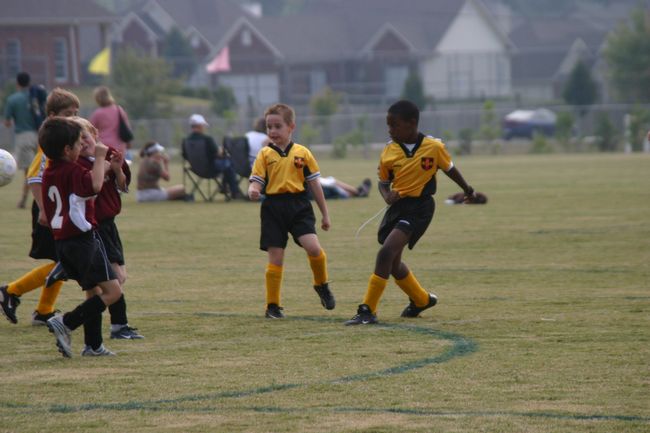 Click to see next picture