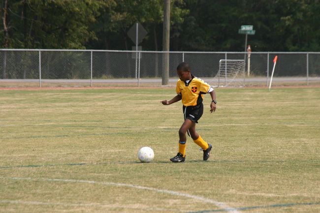 Click to see next picture