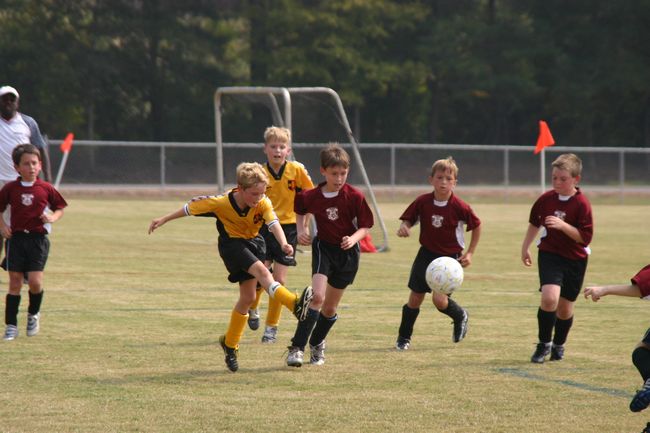 Click to see next picture