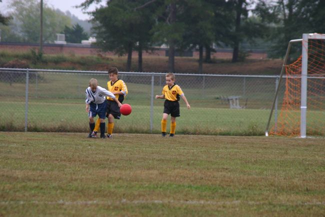 Click to see next picture