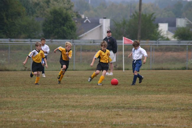 Click to see next picture