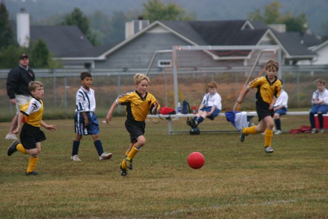 Click to see next picture