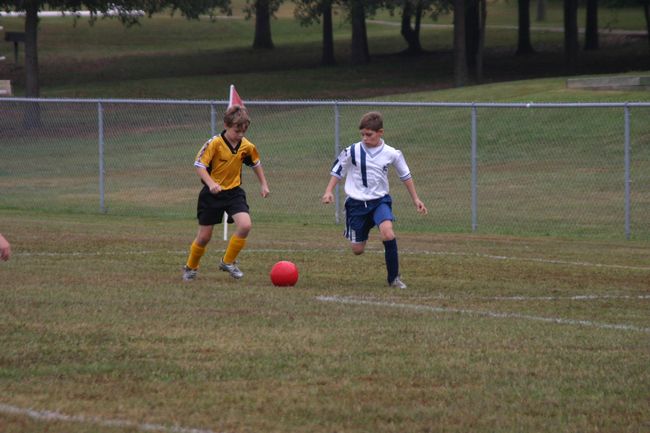 Click to see next picture