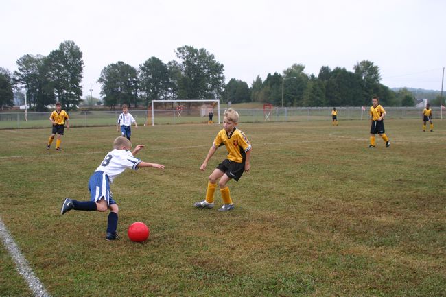 Click to see next picture