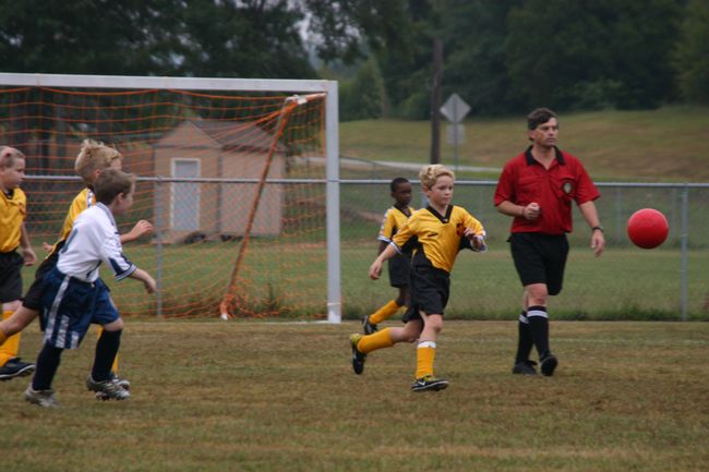 Click to see next picture