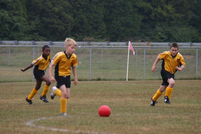 Click to see next picture