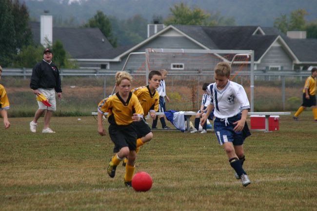 Click to see next picture