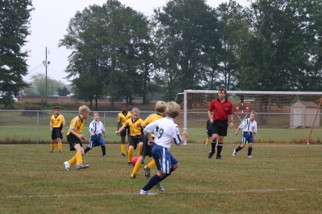 Click to see next picture