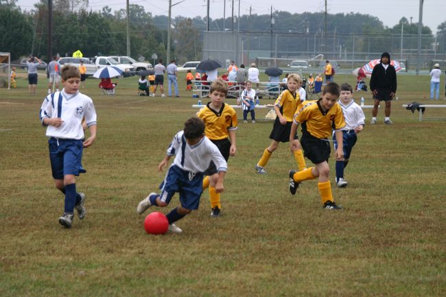 Click to see next picture