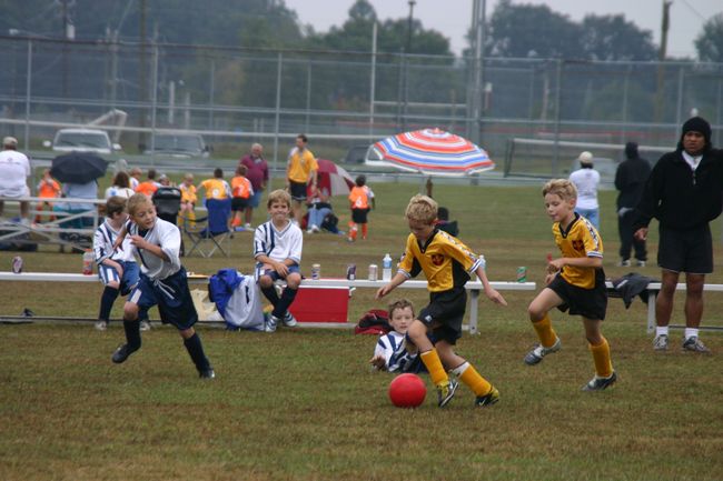 Click to see next picture