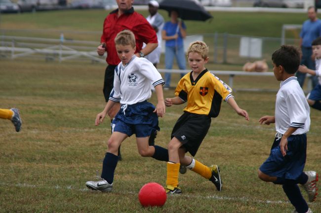 Click to see next picture