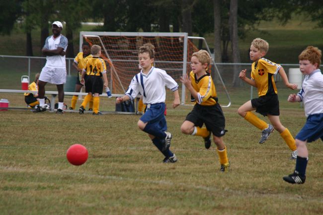 Click to see next picture