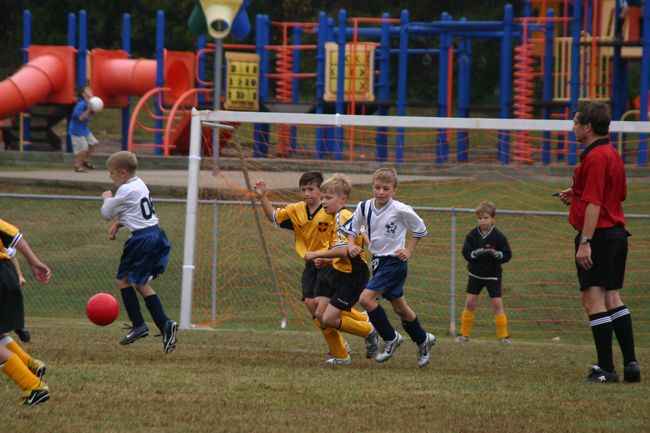 Click to see next picture