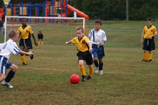 Click to see next picture