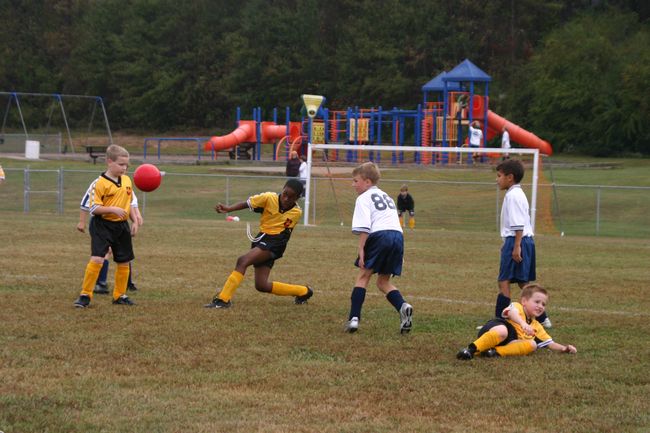 Click to see next picture