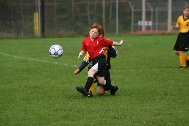 Click to see next picture