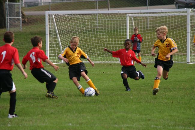 Click to see next picture