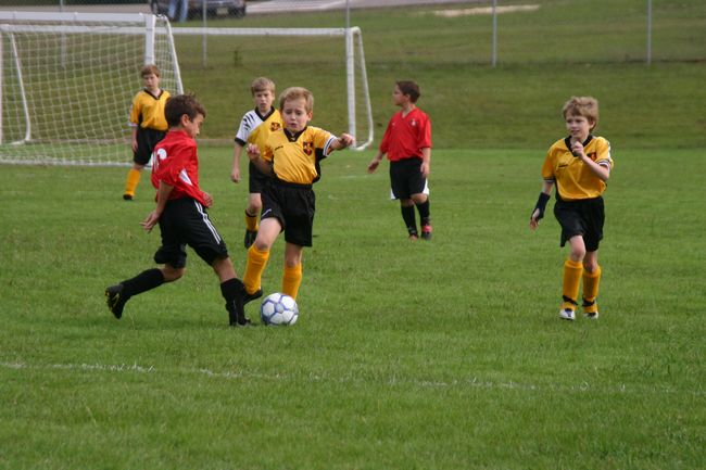 Click to see next picture